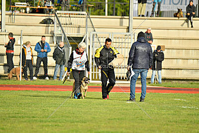 Caja von der Schwarzen Mamba