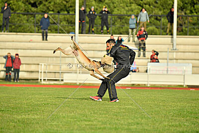 Caja von der Schwarzen Mamba