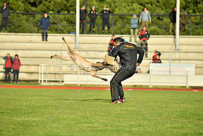 Caja von der Schwarzen Mamba