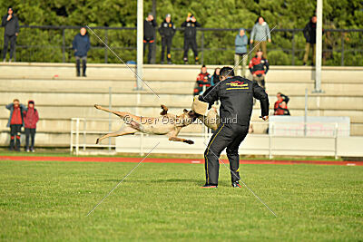 Caja von der Schwarzen Mamba