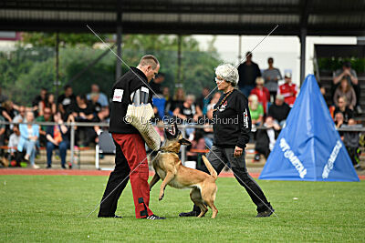 Caja von der schwarzen Mamba