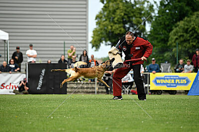 Caja von der schwarzen Mamba