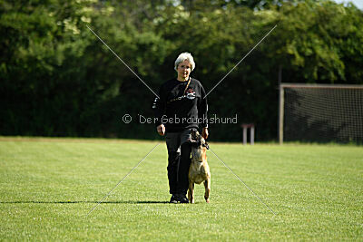 Caja von der schwarzen Mamba