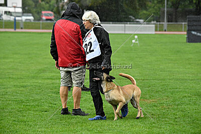 Caja von der schwarzen Mamba