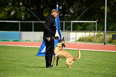 Caja von der schwarzen Mamba