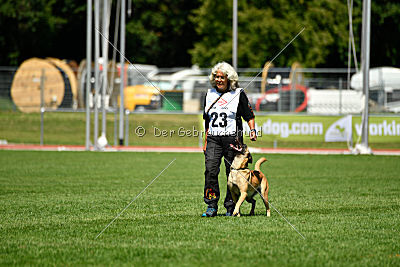 Caja von der schwarzen Mamba