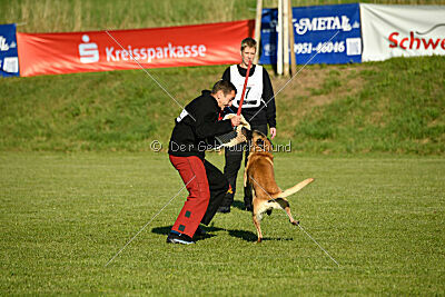 Cajus von Asega