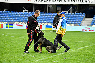 Cali vom alten Gatter