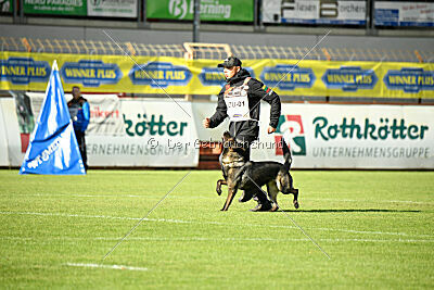 Calipso Plienine Iltis