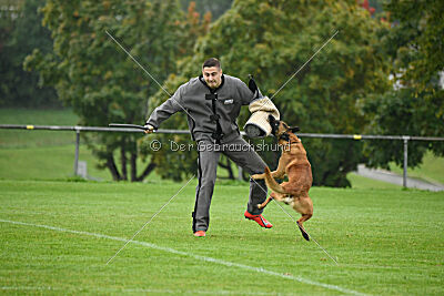 Calle von der schwarzen Mamba