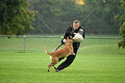 Calle von der schwarzen Mamba