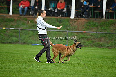 Calle von der schwarzen Mamba