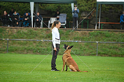 Calle von der schwarzen Mamba