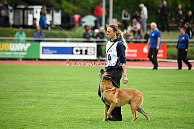 Calle von der schwarzen Mamba