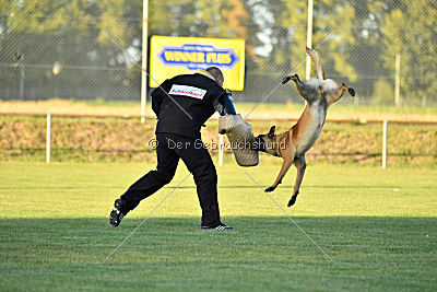 Calle von der schwarzen Mamba