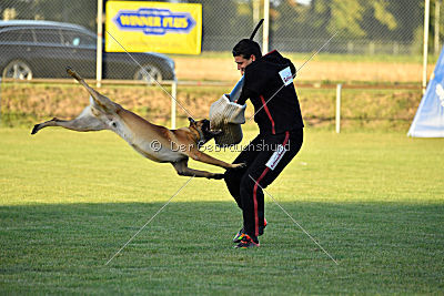 Calle von der schwarzen Mamba