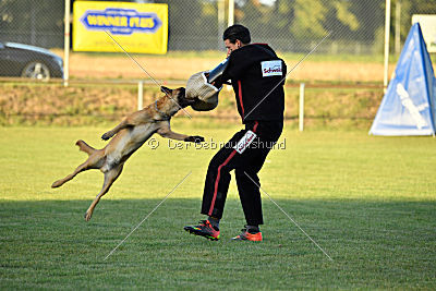 Calle von der schwarzen Mamba