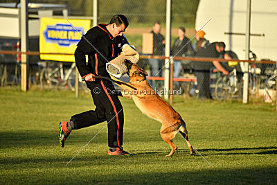 Calle von der schwarzen Mamba