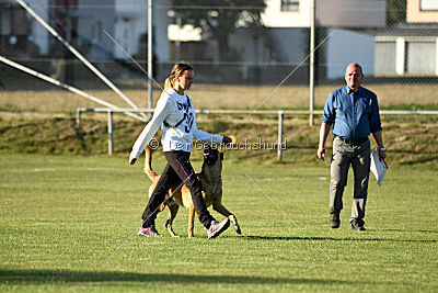 Calle von der schwarzen Mamba