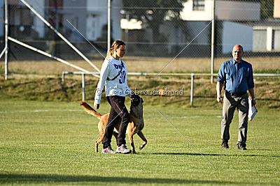 Calle von der schwarzen Mamba
