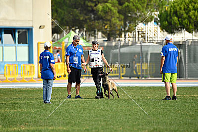 Camino Brillante Azima