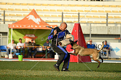 Camino Brillante Azima