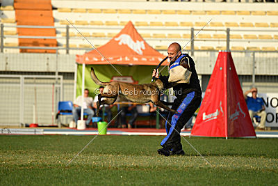 Camino Brillante Azima