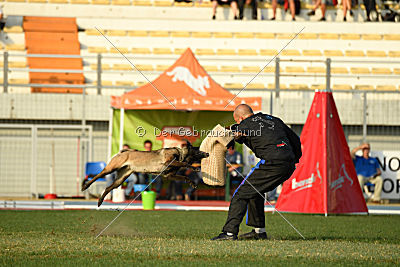 Camino Brillante Azima