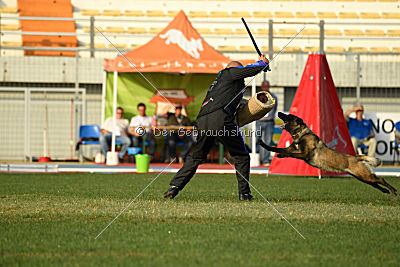 Camino Brillante Azima