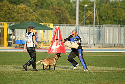Camino Brillante Azima