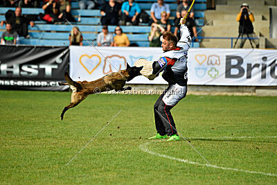 Camino Brillante Blicka