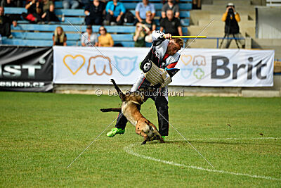 Camino Brillante Blicka