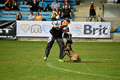 Camino Brillante Blicka