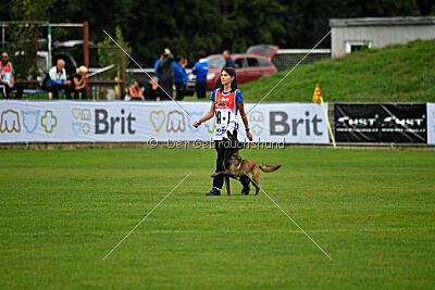 Camino Brillante Blicka