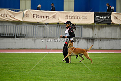 Campari vom Clan der Wölfe