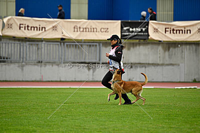 Campari vom Clan der Wölfe