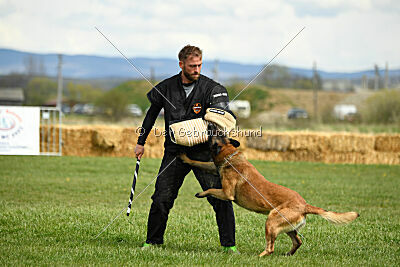 Cannibal Corpse Fox Garden