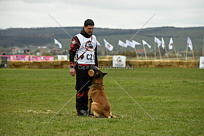 Cannibal Corpse Fox Garden