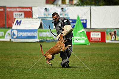 Caramba von der schwarzen Mamba
