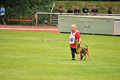 Carlotta Caline von der Laubenhaid