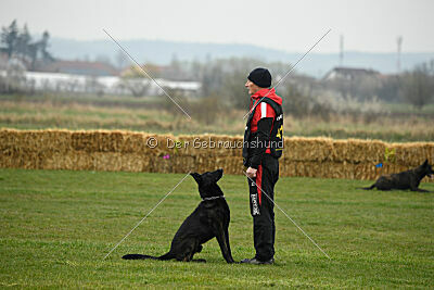 Cash Black Highspeed Devil