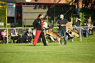 Cassius Dio vom Buxtehuder Bullen