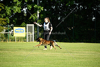 Cassius Dio vom Buxtehuder Bullen