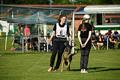 Cassius Dio vom Buxtehuder Bullen