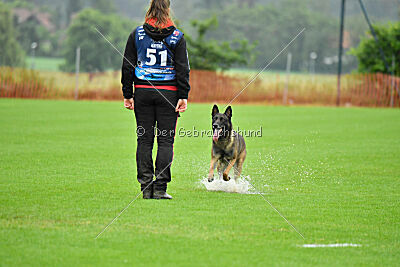 Cassius Dio vom Buxtehuder Bullen