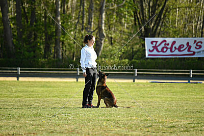 Cassius Dio vom Buxtehuder Bullen