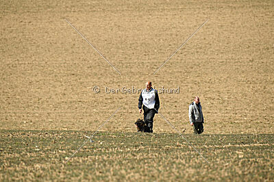 Castrol vom Rebell Hof