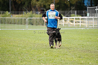 Catara vom Salztalblick