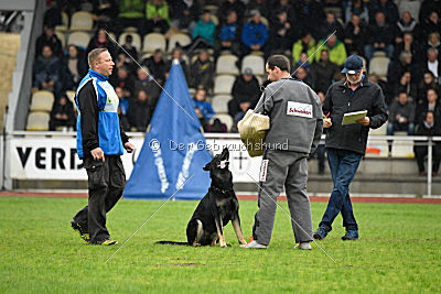 Catara vom Salztalblick