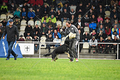 Catara vom Salztalblick